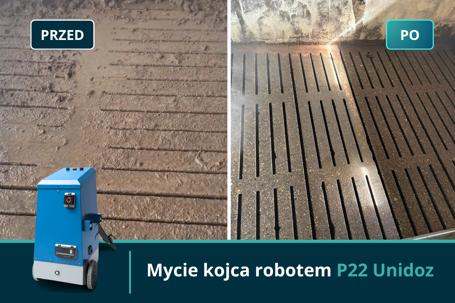 Porównanie rusztów przed i po myciu kojca robotem Unidoz P22